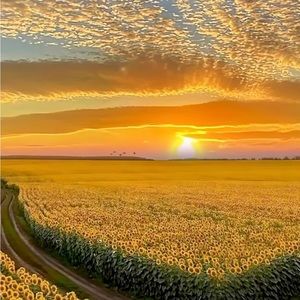 Meet your Posher, SS